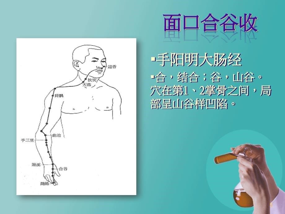 身体十大常用穴位解析-2017版_第5页