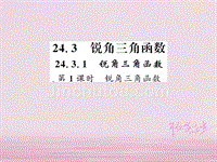 河南专用2018年秋九年级数学上册第24章解直角三角形24.3锐角三角函数24.3.1第1课时习题课件新版华东师大