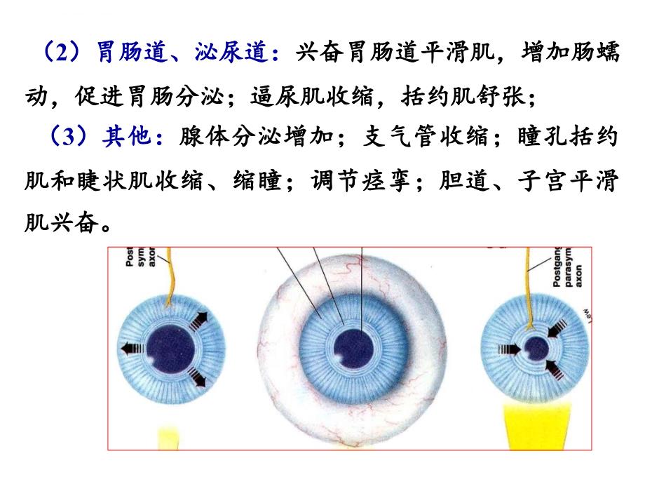 胆碱受体激动药_1ppt培训课件_第3页