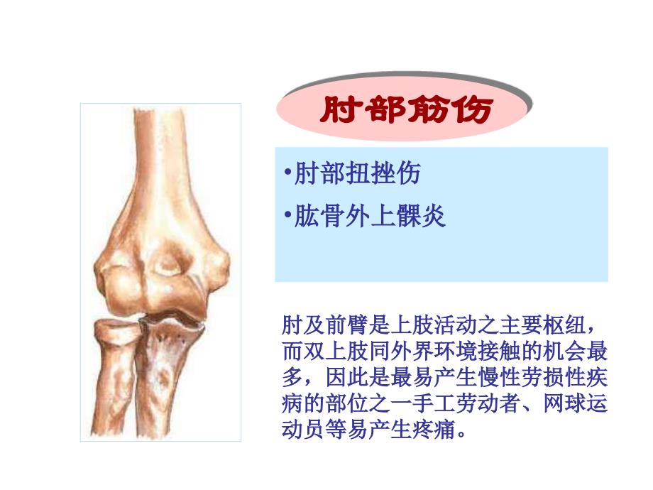 肘部筋伤课件_第2页