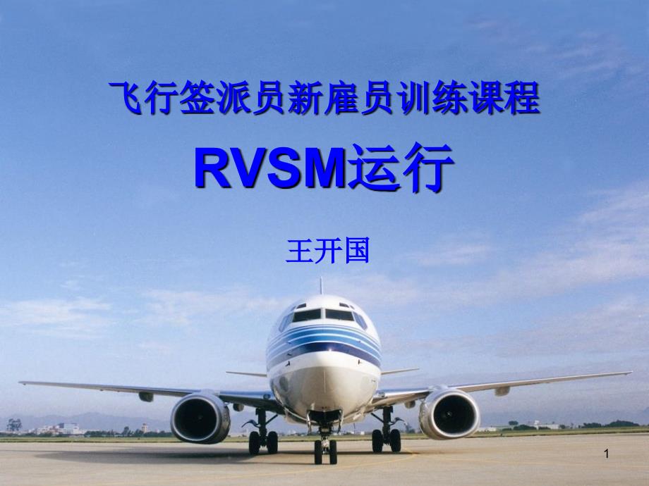 13、rvsm运行_第1页