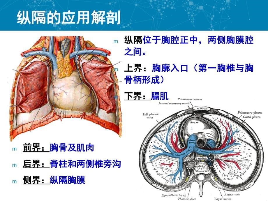 纵隔肿瘤的放射治疗课件_第5页