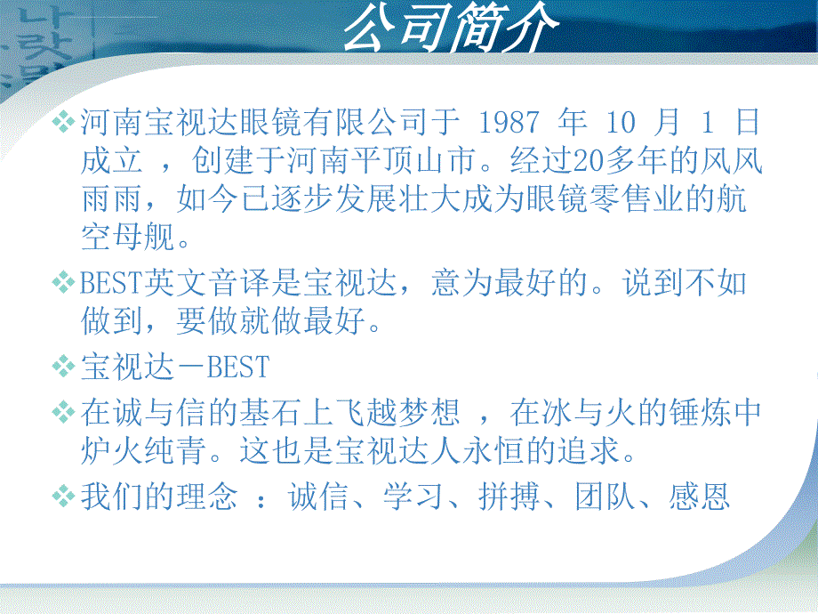 宝视达策划方案_第3页