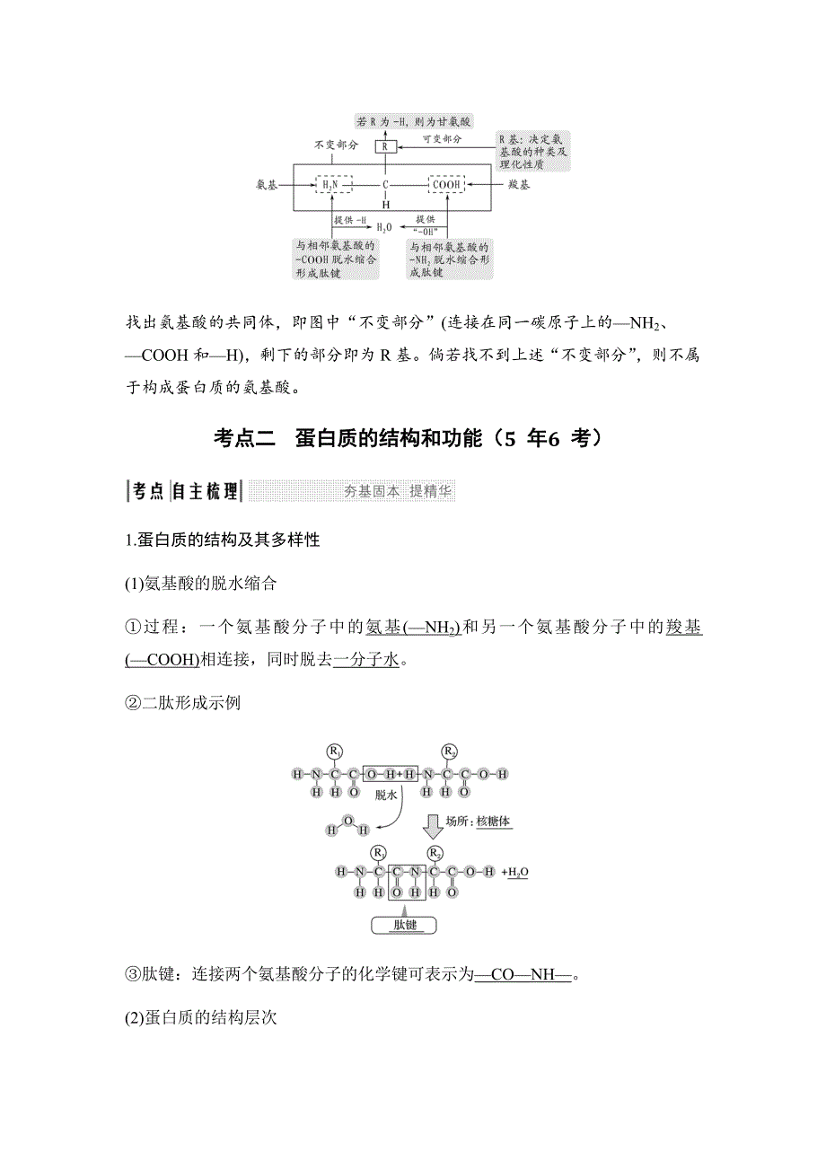 2017-2018学年高中生物考点复习：第一单元第3讲生命活动的主要承担者——蛋白质+对点讲义（5）+Word版含答案_第4页