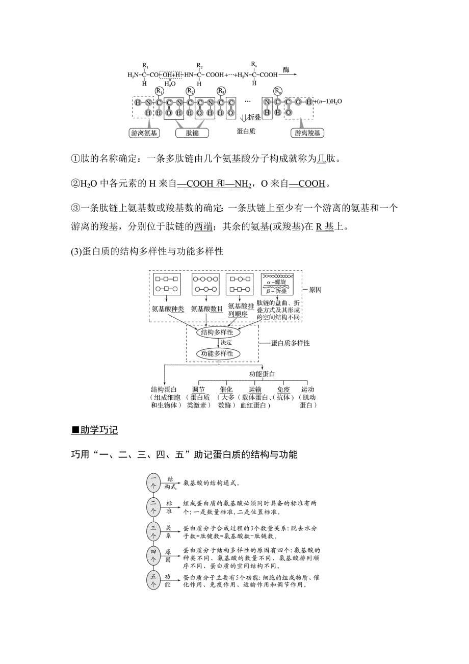 2017-2018学年高中生物考点复习：第一单元第3讲生命活动的主要承担者——蛋白质+对点讲义（5）+Word版含答案_第5页