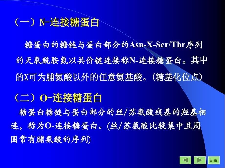 糖蛋白和蛋白聚糖课件_第5页