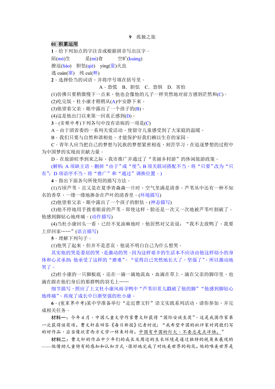 语文(广东版)九年级上册第三单元《9-孤独之旅》练习题_第1页