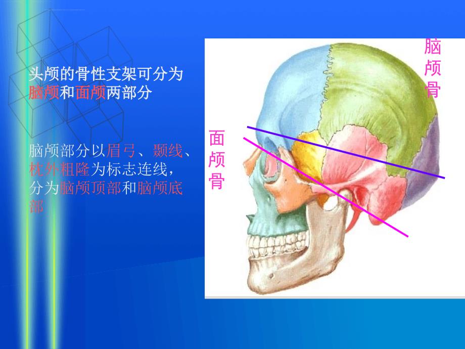 课件-颅底外科学_第3页