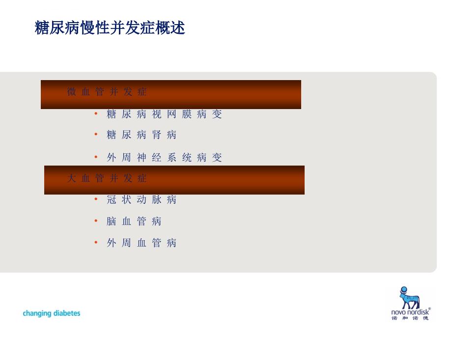 胰岛素使用技巧baijing修改ppt培训课件_第2页