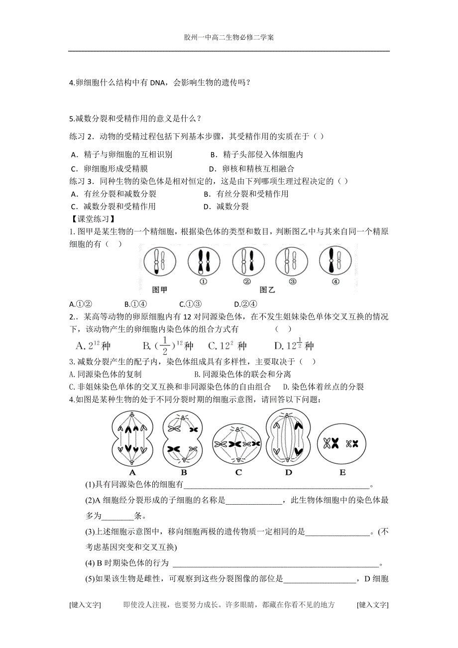 减数分裂第二课时_第4页