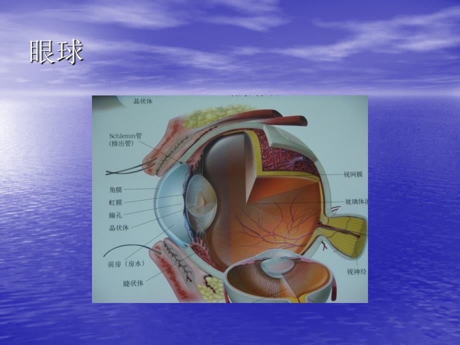 糖尿病视网膜病变课件_第4页