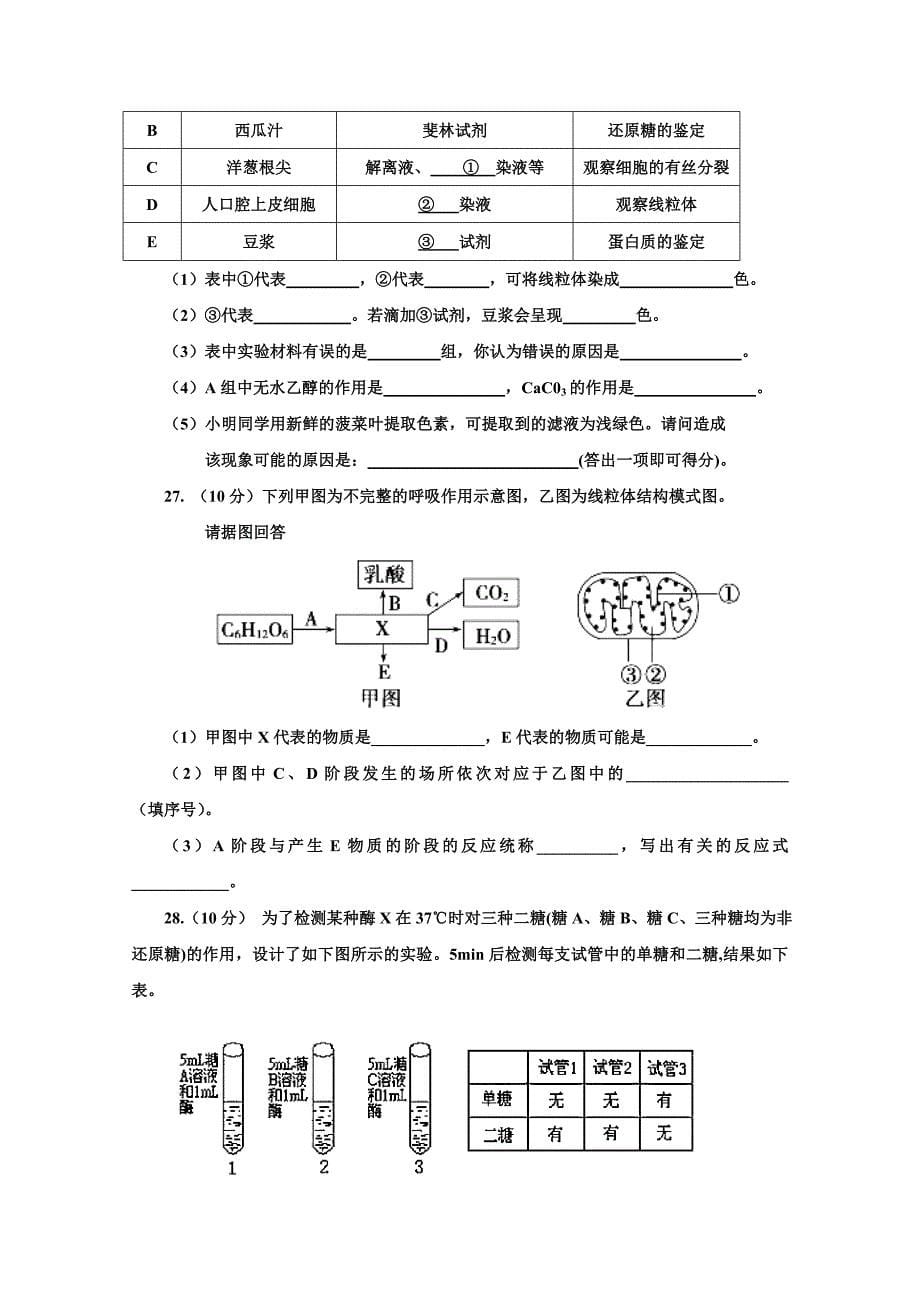 内蒙古赤峰市宁城县2017-2018学年高一上学期期末考试生物试题+Word版含答案_第5页