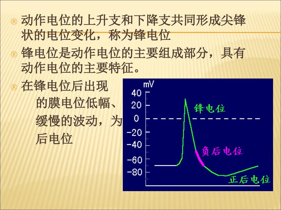 细胞的基本功能课件_第4页