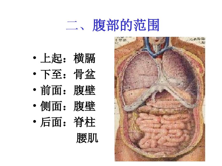 腹部查体分析课件_第3页