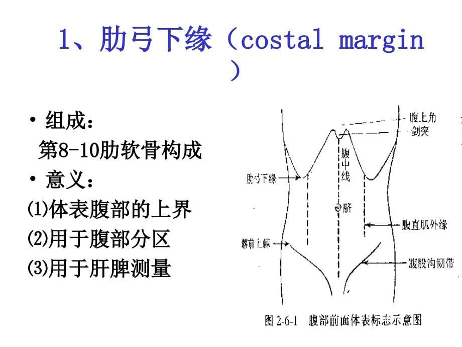 腹部查体分析课件_第5页