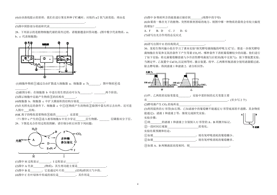 【细胞呼吸与光合作用】期末复习训练_第4页