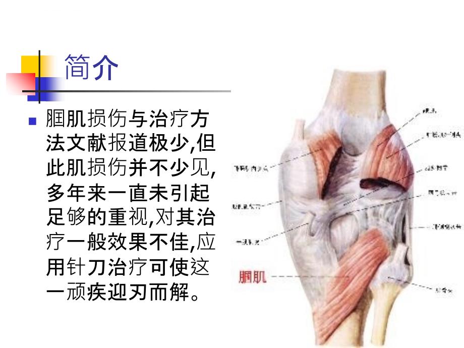 腘肌损伤教学课件_第2页