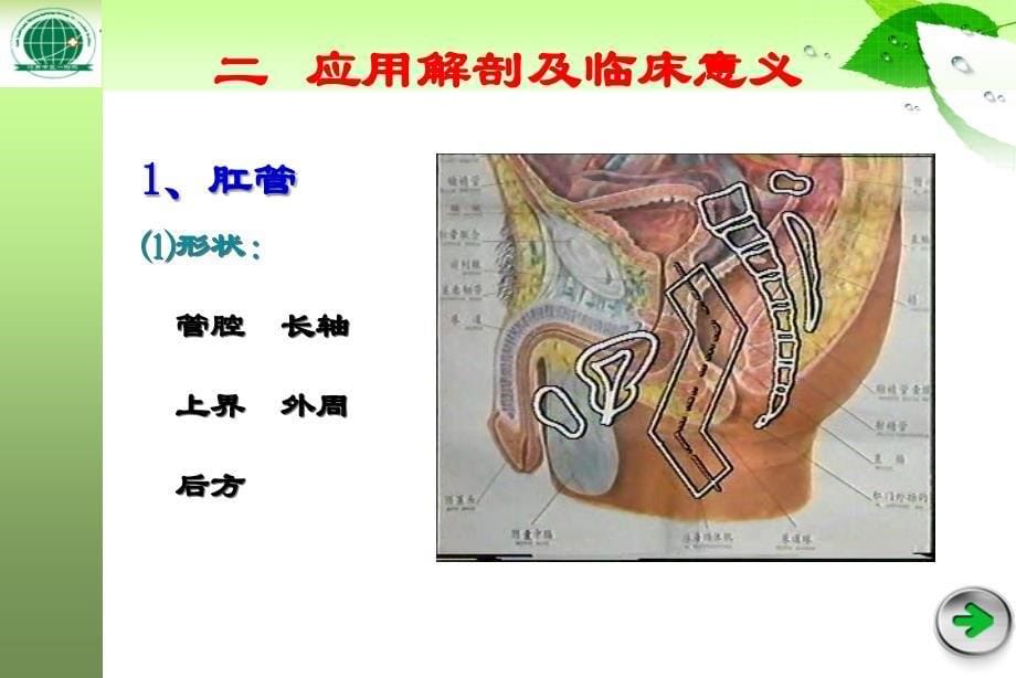 肛肠概论课件_第5页