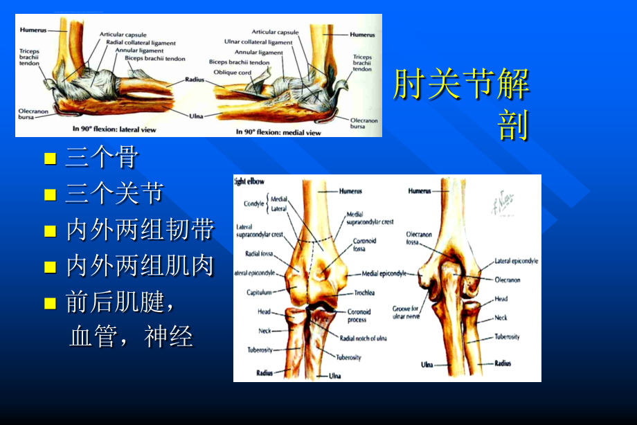 肘关节的运动损伤课件_第3页