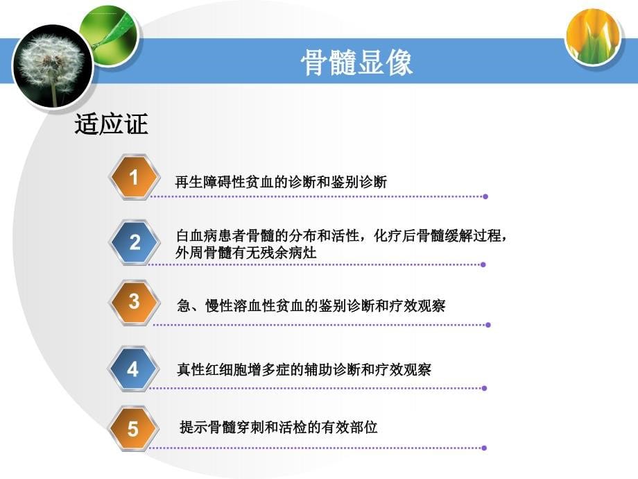 造血与淋巴系统造血淋巴系统ppt培训课件_第5页