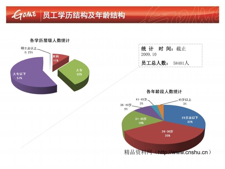 国美电器20102012年人力资源规划74页课件_第5页