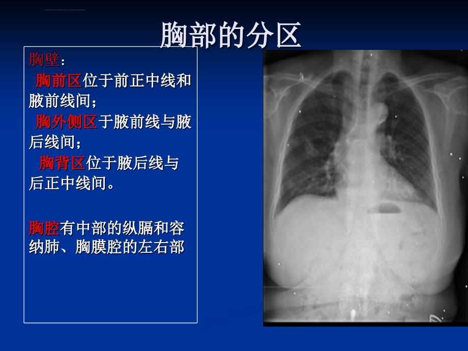 胸部局部解剖ppt培训课件_第3页