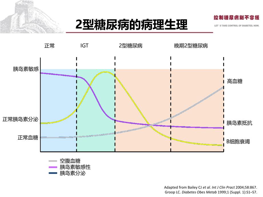 糖尿病降糖药物治疗课件_第2页