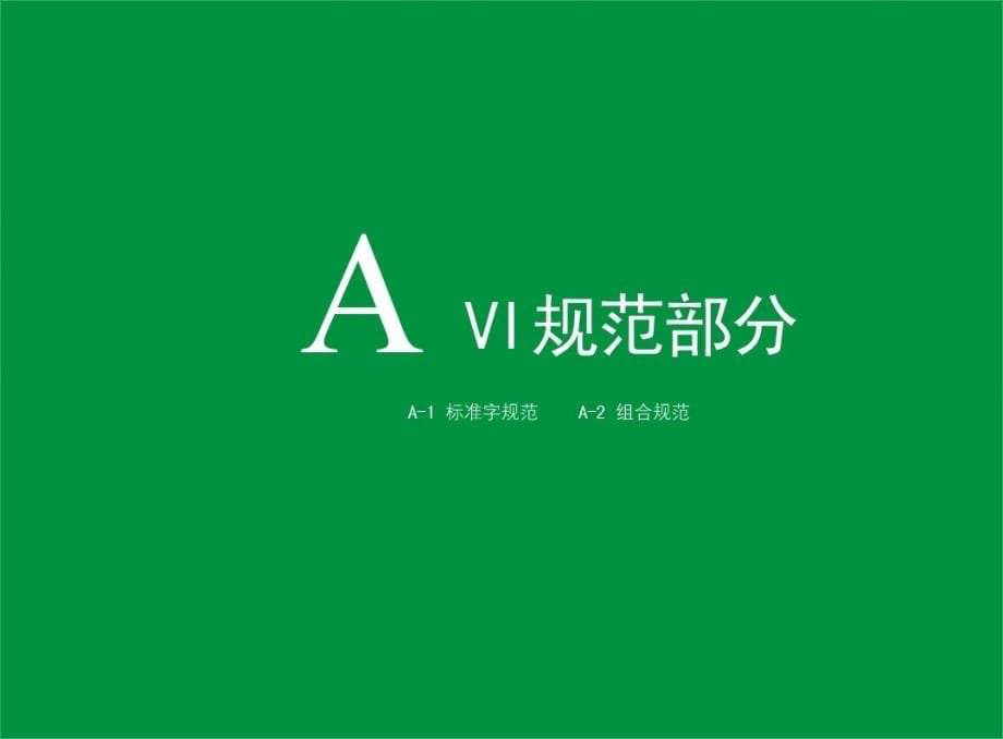 《终端VI生动化规范手册》(最后版）_第5页