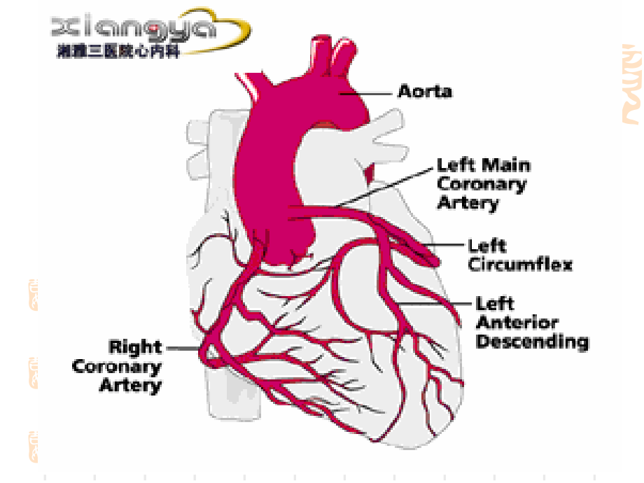 冠状动脉粥样_第4页