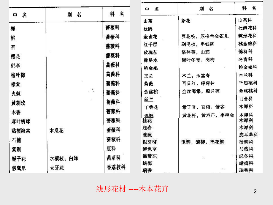 插画艺术概论3.2花材_第2页