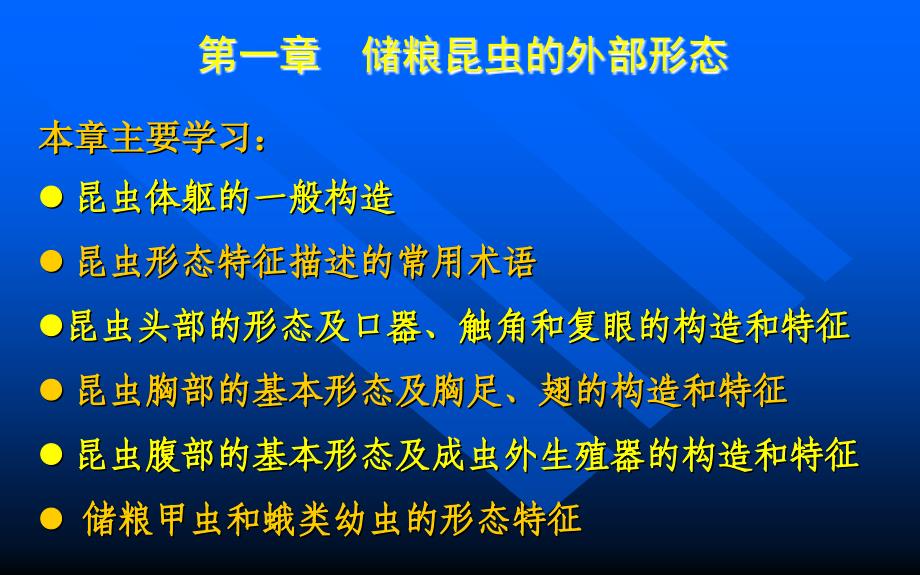 第1章第一节储粮害虫的外部形态_第1页