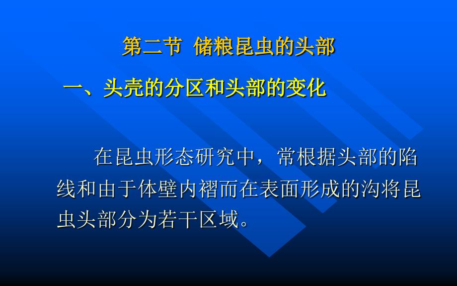 第1章第一节储粮害虫的外部形态_第4页