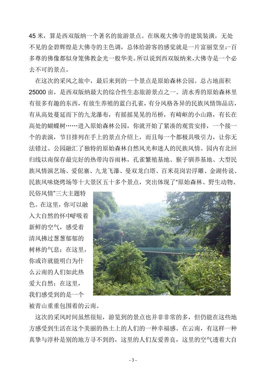 云南西双版纳采风报告流程型_第5页