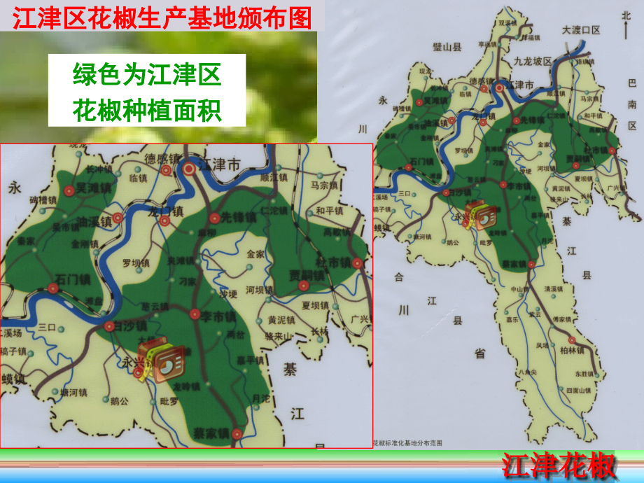 九叶青花椒高产栽培管理技术--重庆市江津区农广校(PPTminimizer)_第3页