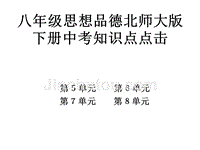 八年级政治下册中考知识点点击