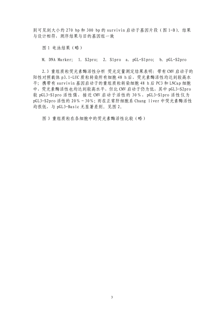 survivin启动子的克隆及其在前列腺癌细胞系中的活性鉴定_第3页