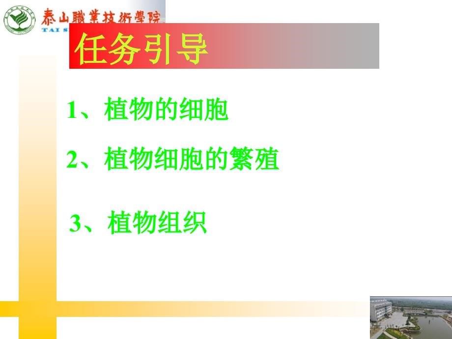 植物细胞识别方面园艺、园林植物的识别_第5页