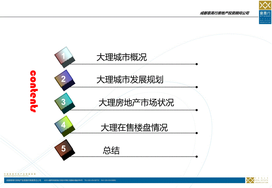 大理项目市场调研报告_第2页