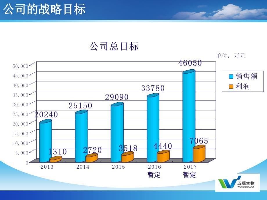 五年规划及股权激励启动方案_第5页