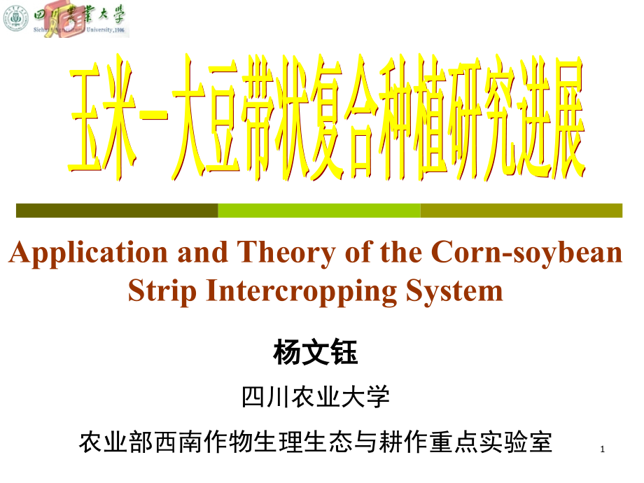 玉米-大豆带状复合种植工作方案 (pptminimizer)_第1页