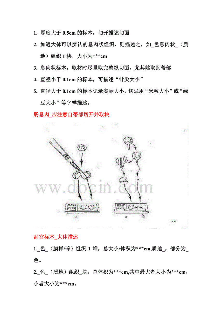 北京301病理标本取材规范_第2页