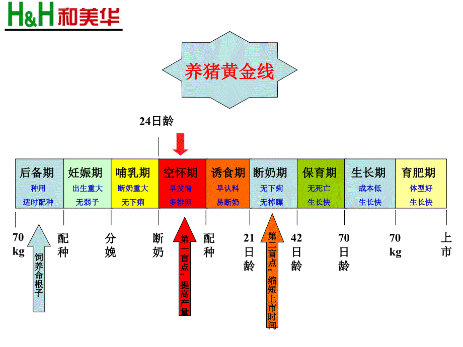 养猪黄金线_第3页