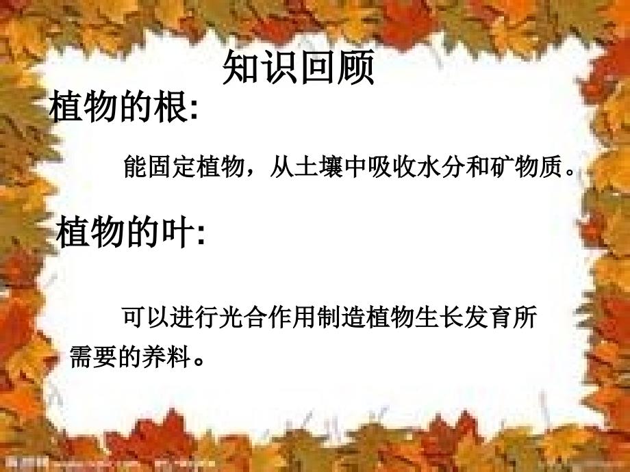 茎越长越高三年级科学_第2页