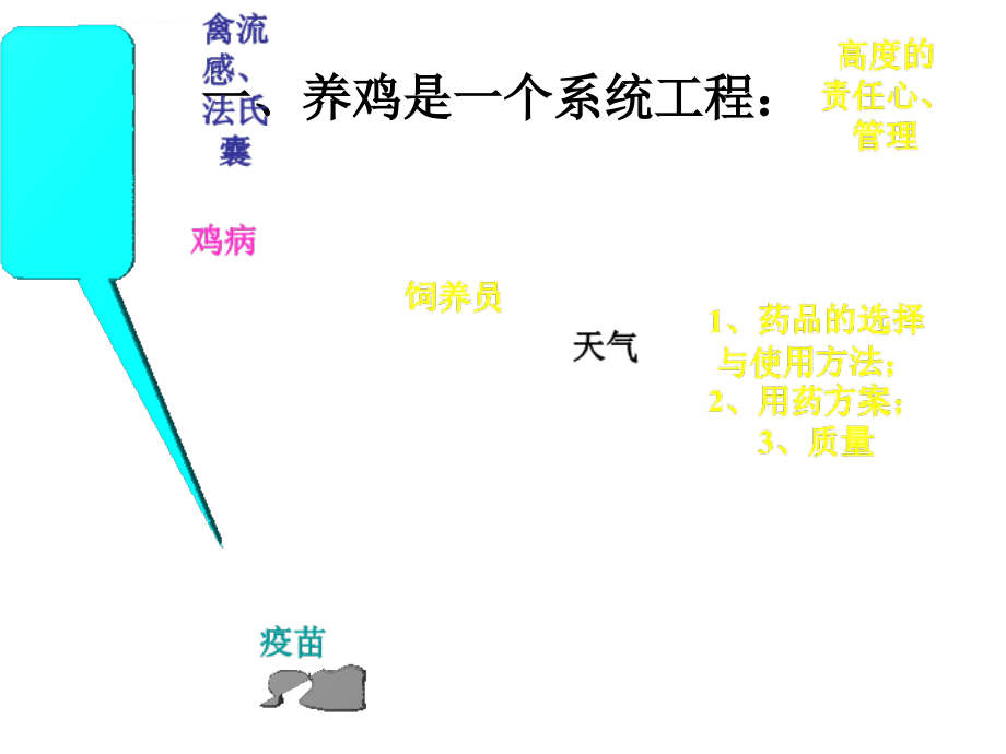 标准化鸡舍的饲养管理及环境控制_第3页