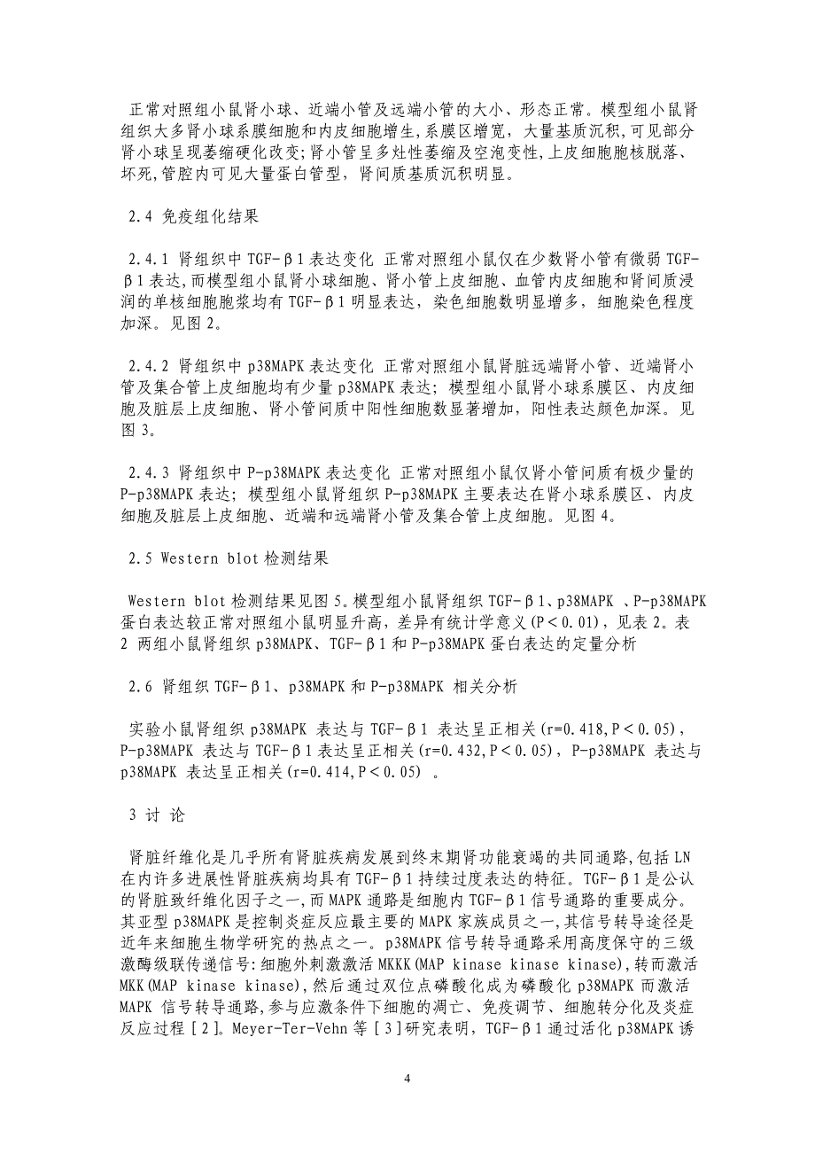 p38MAPK在慢性移植物抗宿主病狼疮样小鼠肾组织的表达研究_第4页