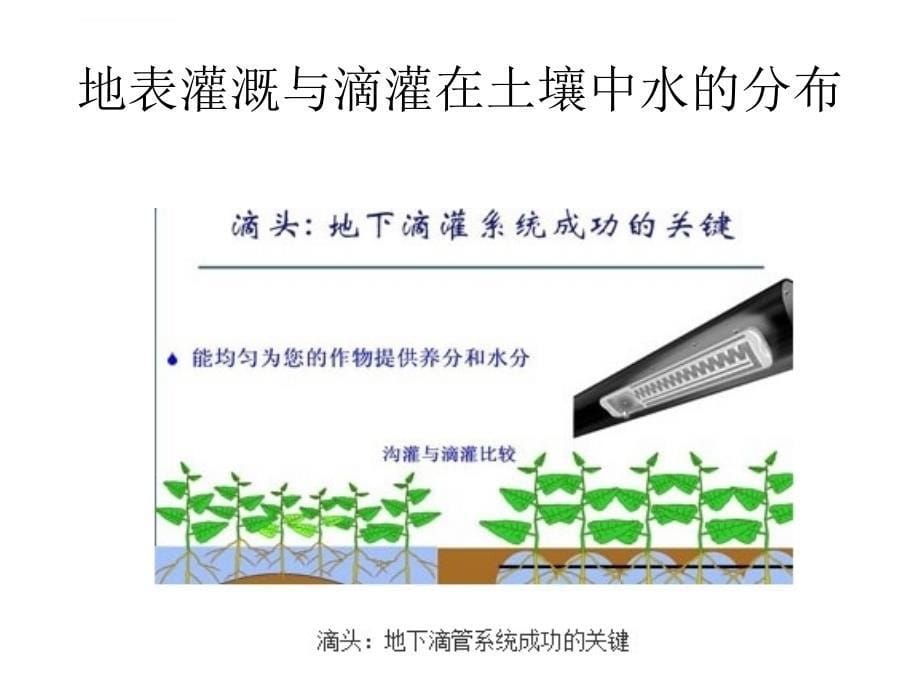 滴灌课件_第5页