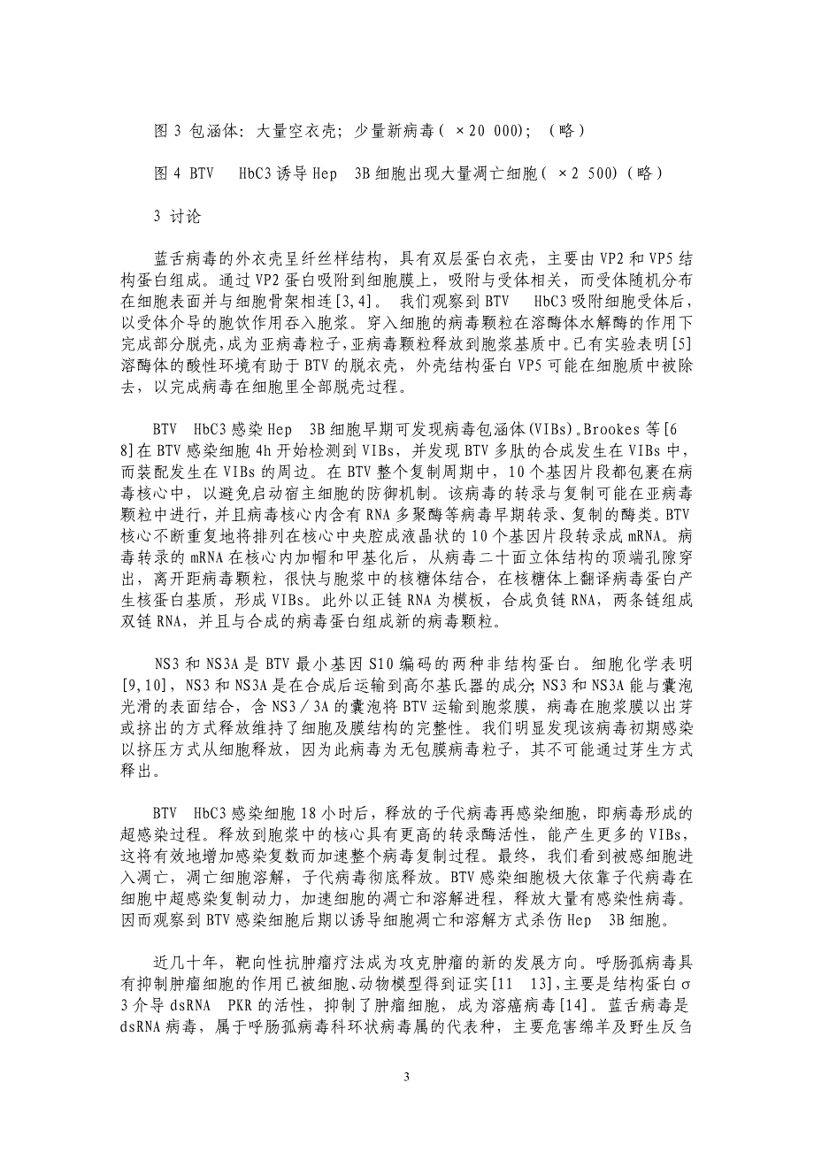 人肝癌细胞感染蓝舌病毒HbC3株超微结构的动态观察_第3页