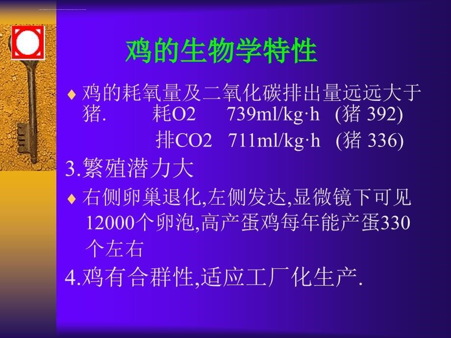 (正大)蛋鸡饲养管理_第5页