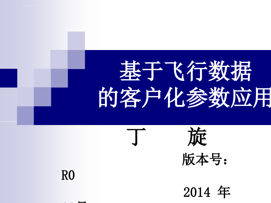 基于飞行数据的客户化数据_第1页