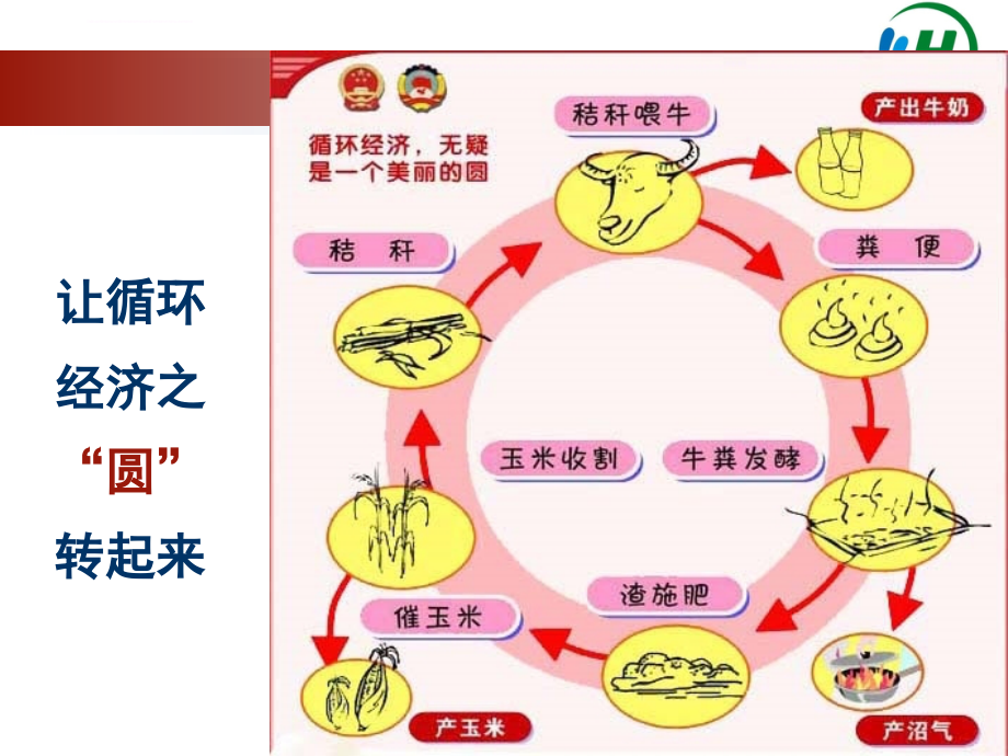 池塘养殖n营养_第3页